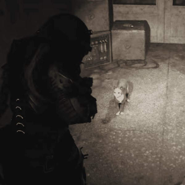 Cronos The New Dawn, Cats, Catfinder achievement