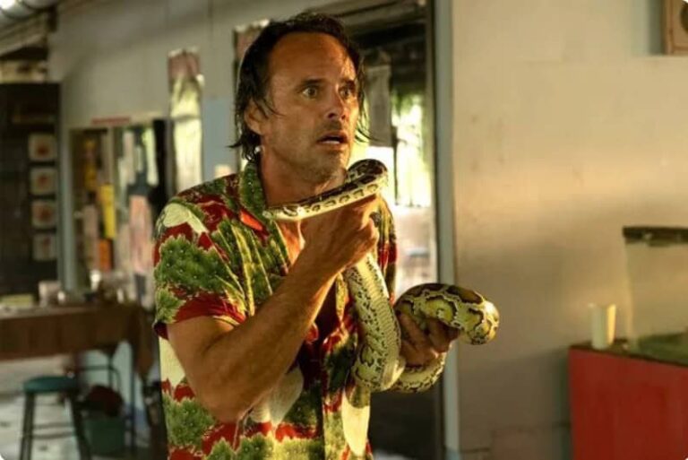 Emmys Walton Goggins