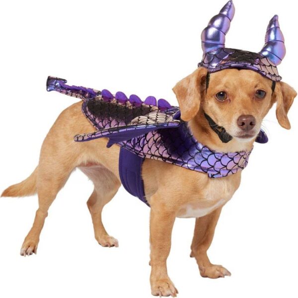 Frisco Dragon Dog & Cat Costume Accessory / Halloween costumes for dogs