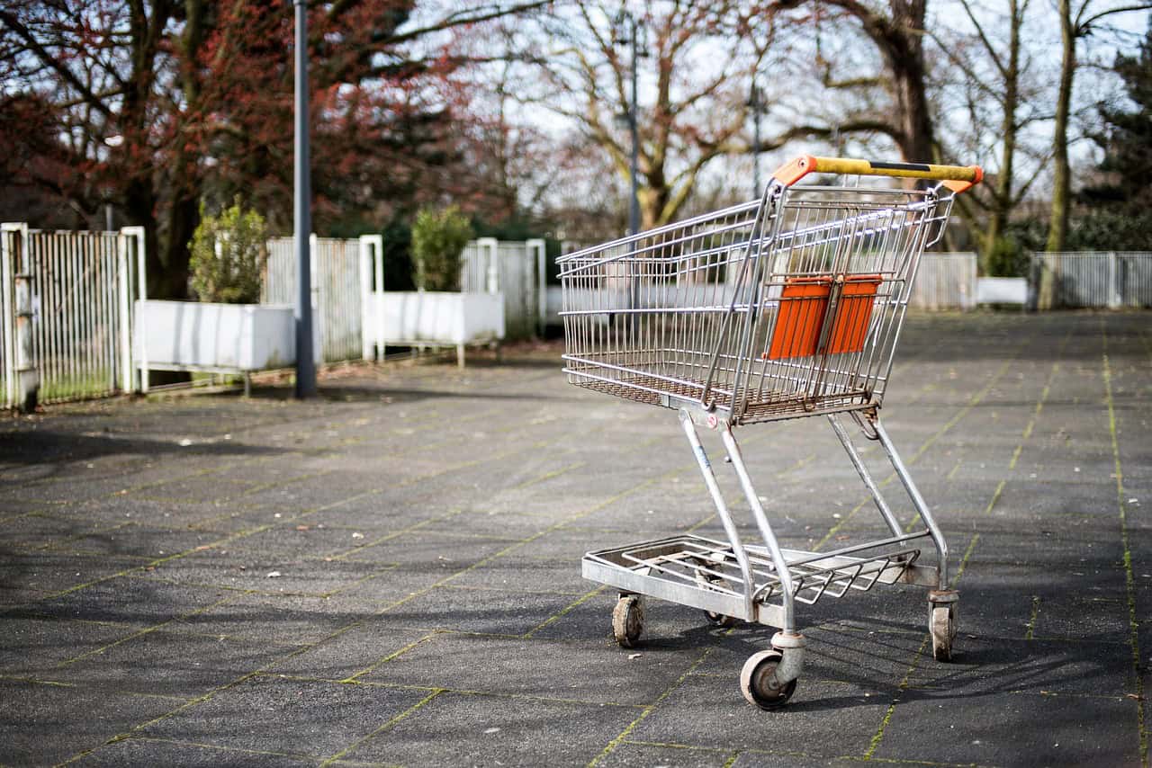 cart, grocery, outdoor, nature, trees, gray grocery, gray groceries