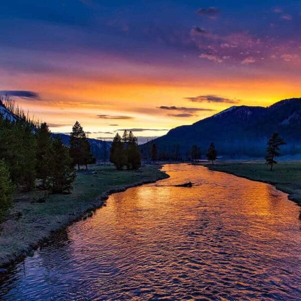 national parks, fall, river, mountains, sunset, dusk, twilight, trees, conifers, water, mountain range, mountainous, landscape, nature, fields, yellowstone national park, evening, scenic, idyllic, meadow, outdoors, countryside, wilderness, reflections, madison river, sky, clouds, wyoming, river, river, river, river, river