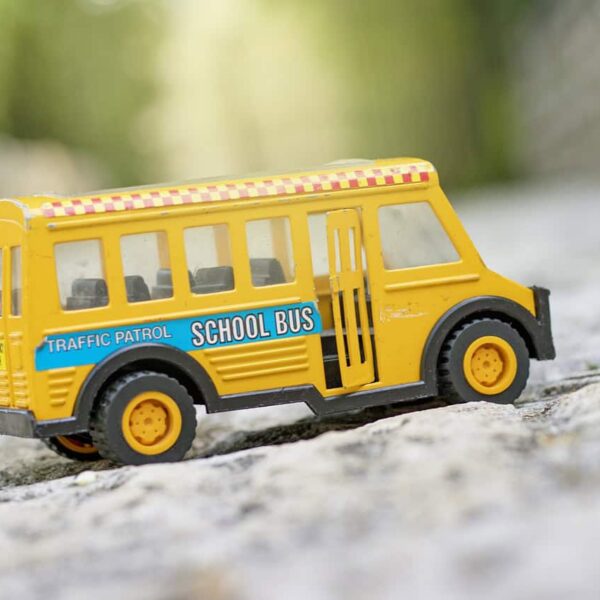 transition, summer, bus, school bus, transport, transportation, wheels, children transport, toy, miniature, school bus, school bus, school bus, school bus, school bus