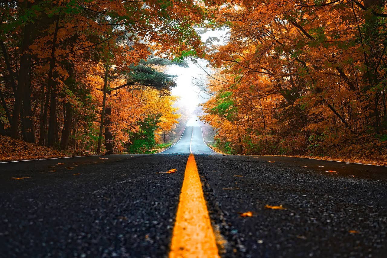 autumn, street, leaves, lane, foliage, autumn leaves, autumn foliage, autumn colors, autumn season, fall foliage, fall leaves, fall colors, orange leaves, orange foliage, forest, nature, fall, trees, woods, road, straight, avenue, tree lined, autumn, autumn, autumn, street, street, fall, fall, road, road, road, road, road