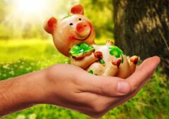 luck, zodiac signs, fall, good luck, handful happiness, piggy, lucky pig, congratulations, figure, good luck, good luck, good luck, good luck, good luck, congratulations
