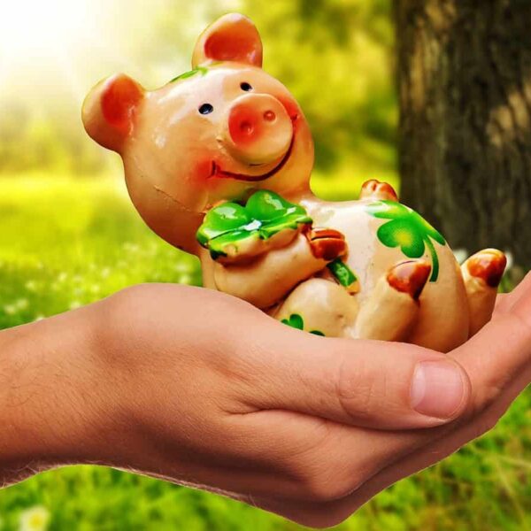 luck, zodiac signs, fall, good luck, handful happiness, piggy, lucky pig, congratulations, figure, good luck, good luck, good luck, good luck, good luck, congratulations