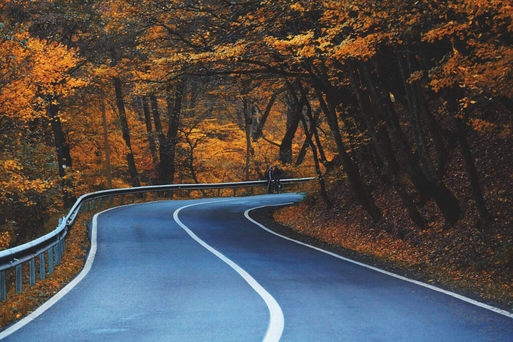 road, curve, trees, highway, leaves, avenue, lane, pavement, autumn, foliage, natural, forest, autumn leaves, autumn foliage, autumn colors, fall leaves, fall foliage, fall colors, nature, road, road, road, road, road, highway, highway, autumn, open road, Cadillac El Dorado 