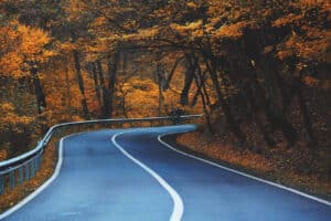 road, curve, trees, highway, leaves, avenue, lane, pavement, autumn, foliage, natural, forest, autumn leaves, autumn foliage, autumn colors, fall leaves, fall foliage, fall colors, nature, road, road, road, road, road, highway, highway, autumn, fall road trip, west coast