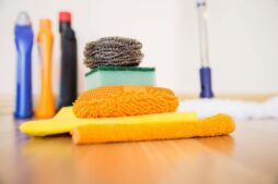 FDA recall, dirt, garbage, house, housekeeping, indoors, interior, objects equipment, occupation, working, bottle, broom, brooming, chemical, chores, clean, cleaning, cloth, detergent, housekeeping, housekeeping, housekeeping, housekeeping, housekeeping, chores, cleaning, detergent