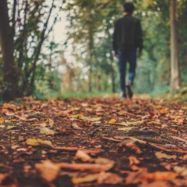fall wellness, autumn, leaves, foliage, autumn leaves, autumn foliage, autumn colors, autumn season, fall foliage, fall leaves, fall colors, forest, nature, fallen leaves, fall, ground, man, outdoors, person, brown leaves, ground, ground, ground, ground, ground