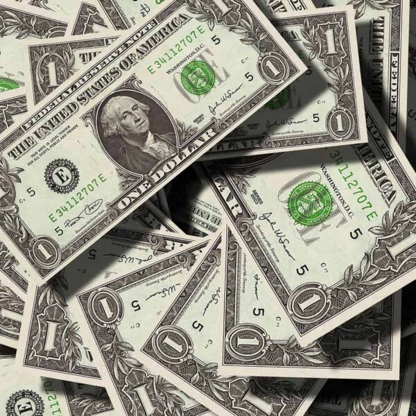 Dollar Tree, high end, dollars, currency, money, us dollars, franklin, benjamin franklin, banknote, finance, wealth, bills, cash, savings, money, money, money, money, money