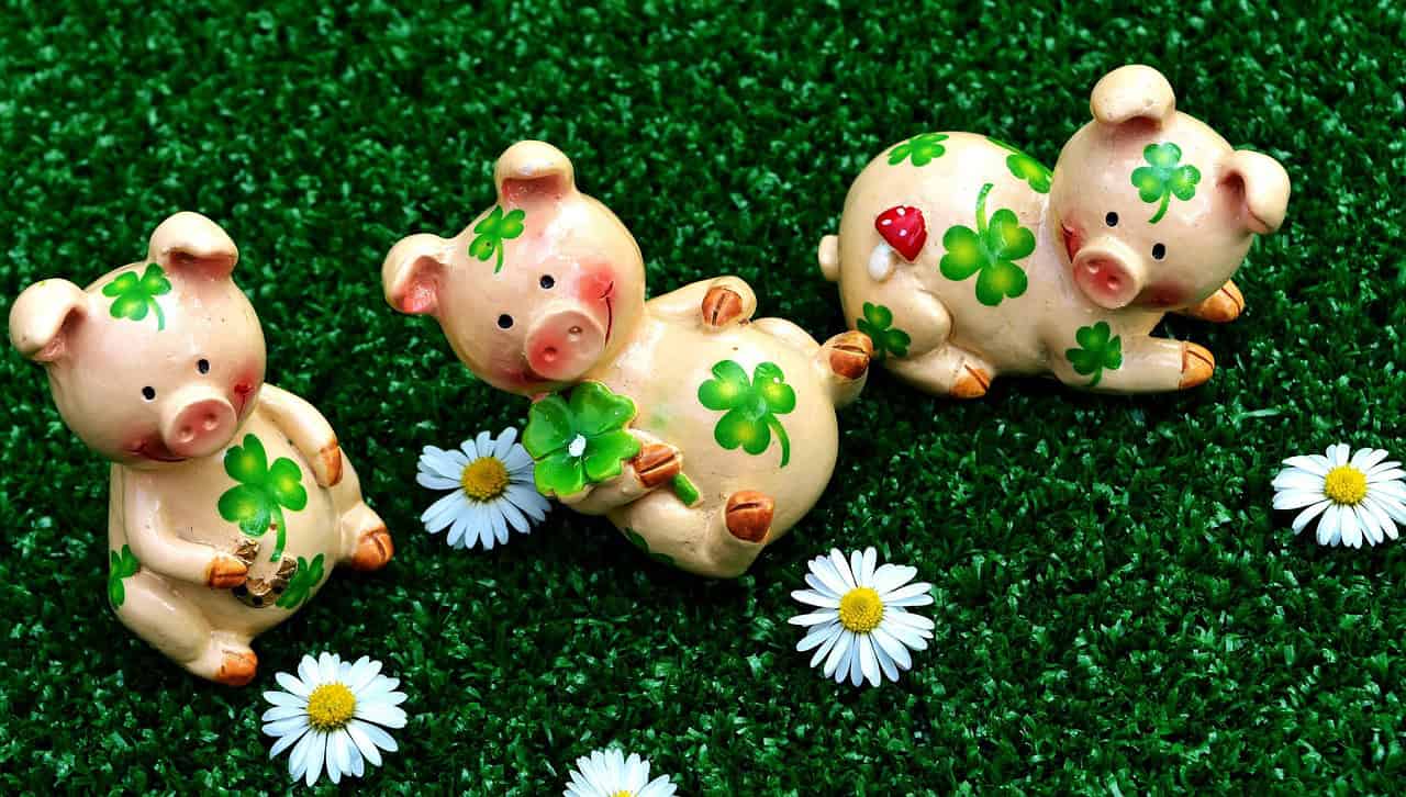 lucky pig, characters, cute, happiness, shamrocks, lucky charm, piglet, fun, funny, nature, animal, pig, lucky clover, wishes, piggy, good luck, handful happiness