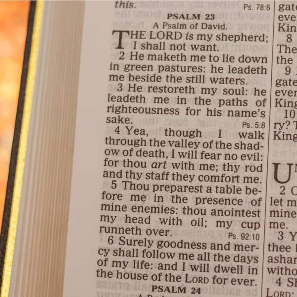 bible, book, text, psalm, 23, Christian, holy, faith, religion, Daily Devotion