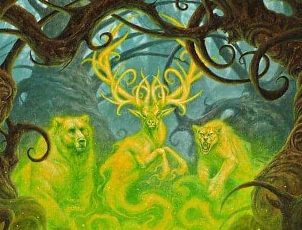 Rarest/magic the gathering