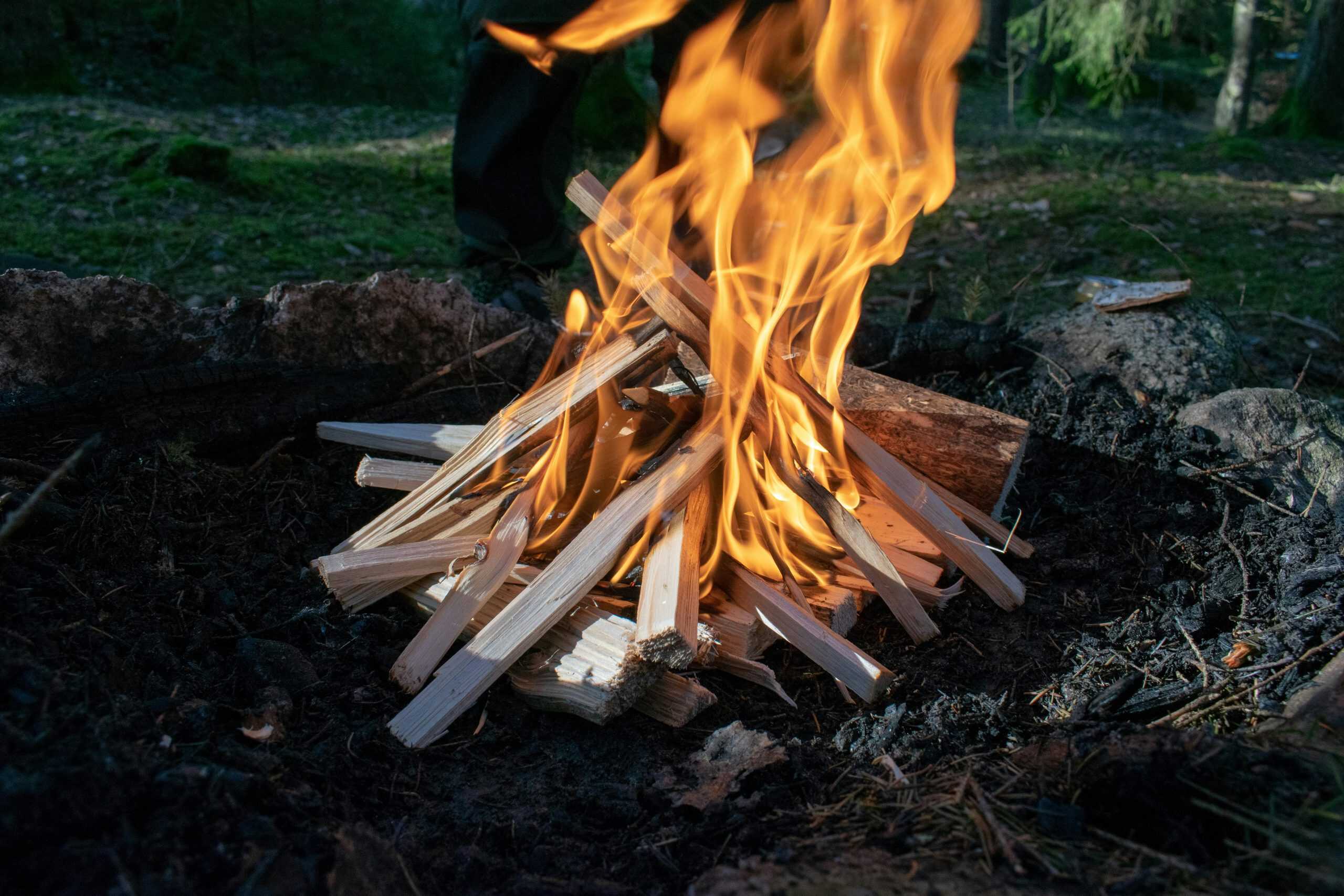 Close-up of a campfire with vibrant flames surrounded by a forest setting.