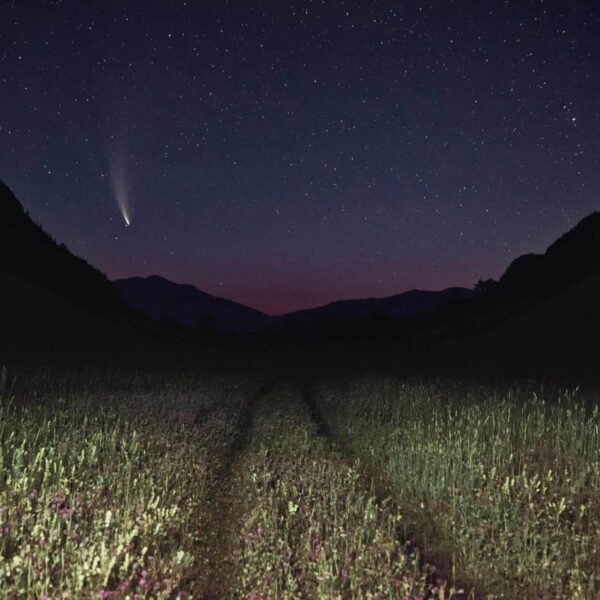 Asteroids, Stunning night landscape of a shooting star and field under a starry sky. Perfect for nature lovers.