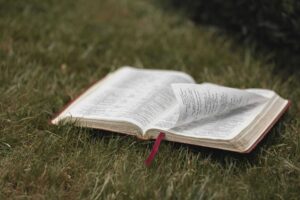An open Bible on grassy ground, symbolizing spirituality and nature. Ideal for religious themes, daily devotion