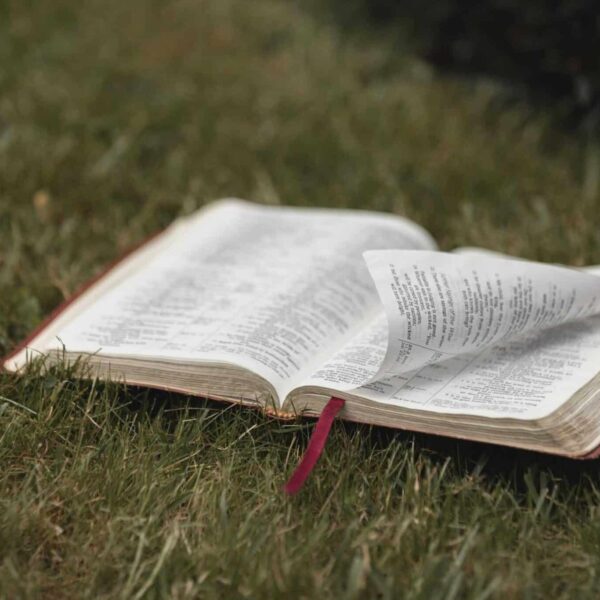 An open Bible on grassy ground, symbolizing spirituality and nature. Ideal for religious themes, daily devotion