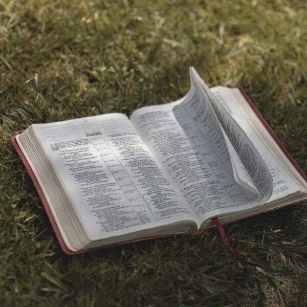Open Bible resting on grass, capturing a serene and contemplative moment outdoors, daily devotion