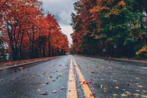 fall foliage, A vibrant autumn scene with colorful foliage lining a wet road in Long Pond, PA.