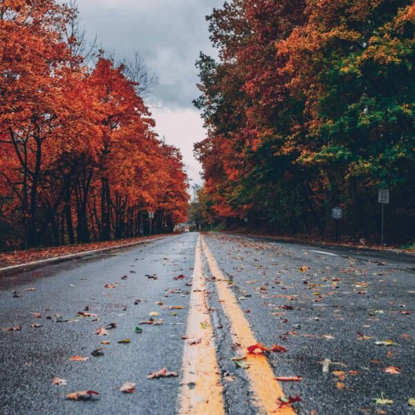 fall foliage, A vibrant autumn scene with colorful foliage lining a wet road in Long Pond, PA.