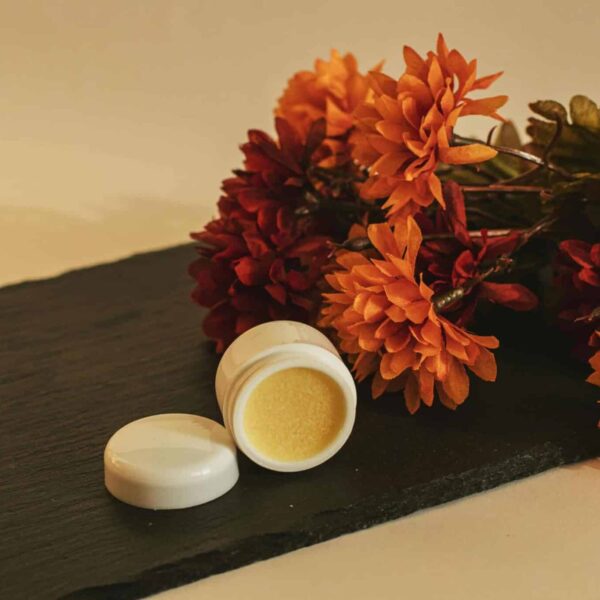 Close-up of orange flowers and cosmetic cream on slate, evoking fall aesthetics. September 2025 beauty launches