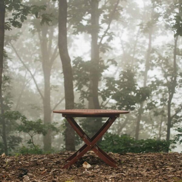 outdoor furniture, winterizing, A wooden table stands alone in a foggy forest, surrounded by dense trees and mist.