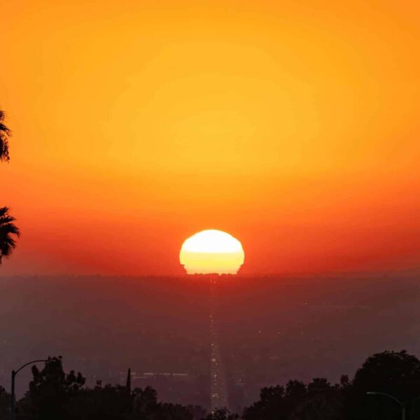 Vibrant orange sunset over palm trees in Highland, CA captured on a clear fall evening.