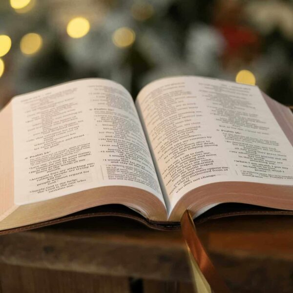 Open Bible resting on wooden surface with blurred festive background lights, daily devotion