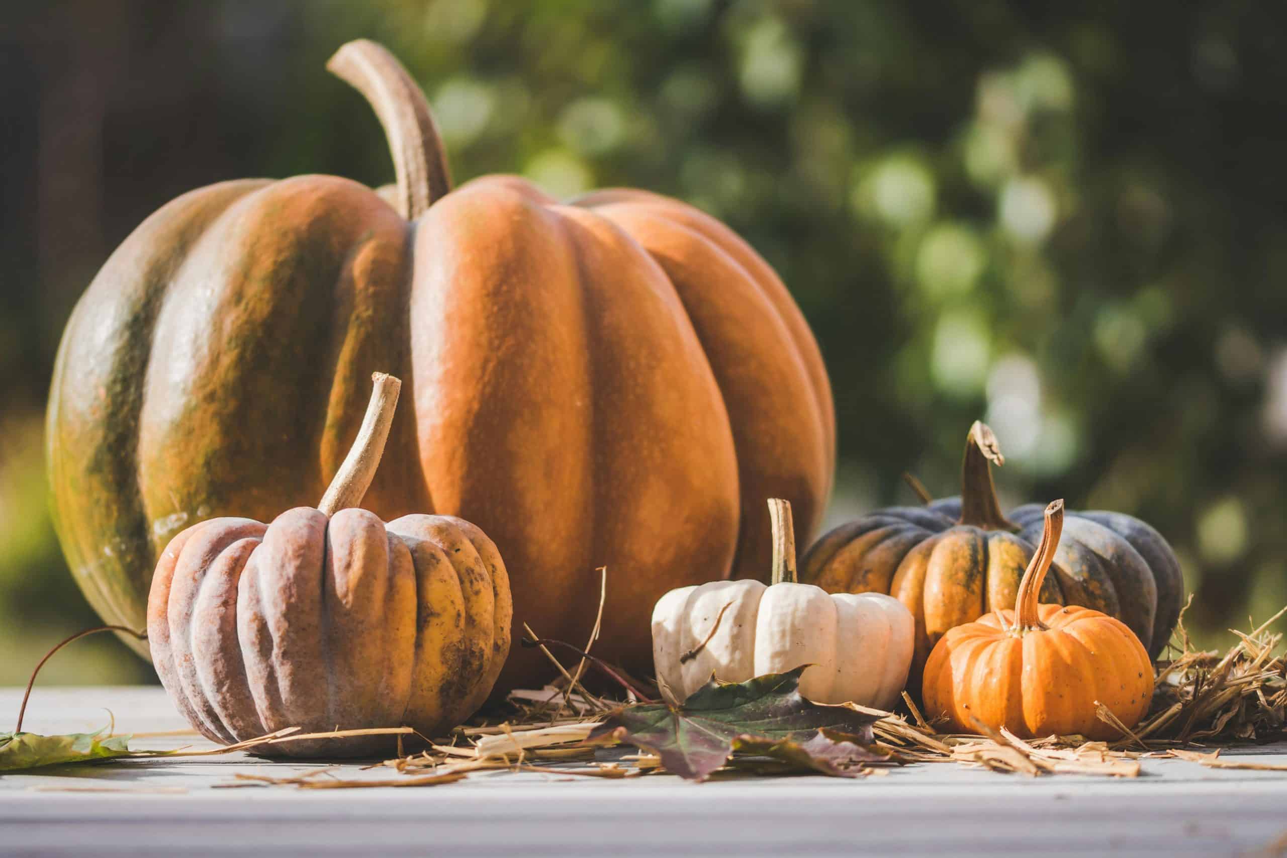 A colorful collection of pumpkins on a table, capturing the essence of fall outdoors.
