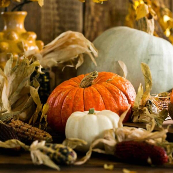 Still life of pumpkins and gourds with autumn leaves, capturing the essence of fall. autumn centerpieces, table centerpieces