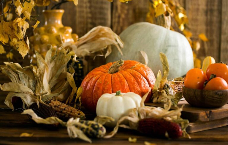 Still life of pumpkins and gourds with autumn leaves, capturing the essence of fall. autumn centerpieces, table centerpieces
