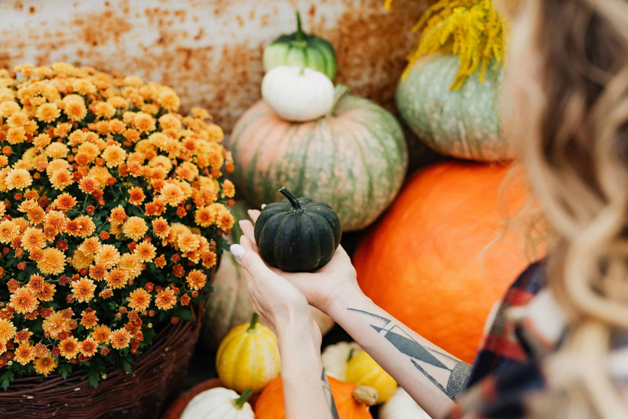 Close-up of a woman holding a small pumpkin amidst colorful autumn flowers and squash.