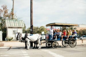 Tourists enjoy a scenic horse-drawn carriage ride through the city, guided by an experienced tour guide. guided tours