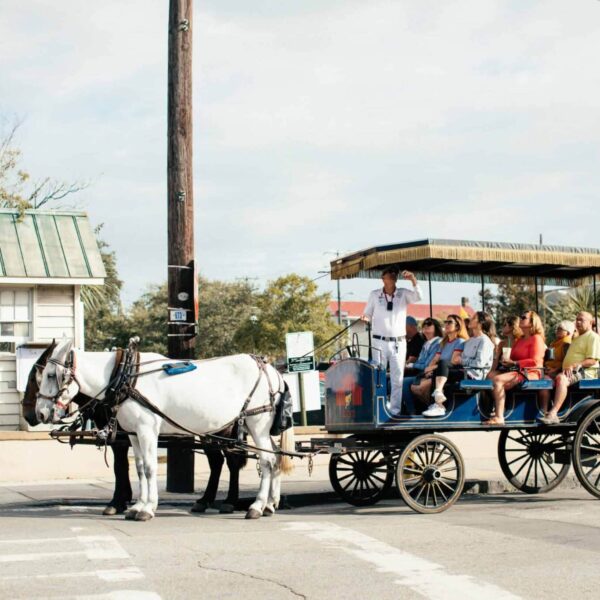 Tourists enjoy a scenic horse-drawn carriage ride through the city, guided by an experienced tour guide. guided tours