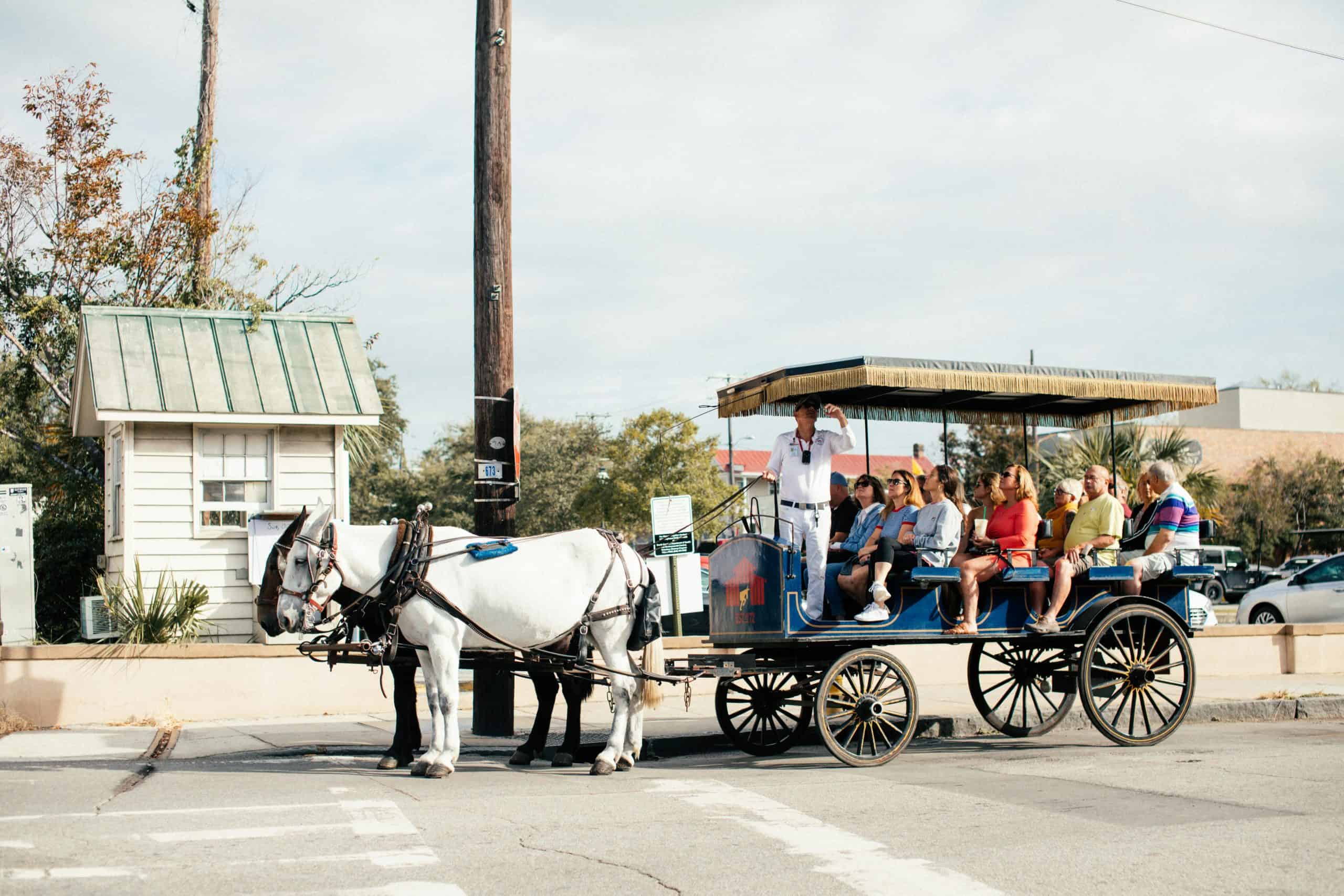 Tourists enjoy a scenic horse-drawn carriage ride through the city, guided by an experienced tour guide. guided tours