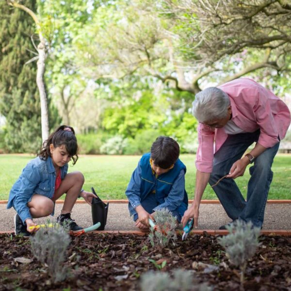 A senior man gardening with his grandchildren in a lush green park on a bright day. grandparents, grandparent, grandparenting