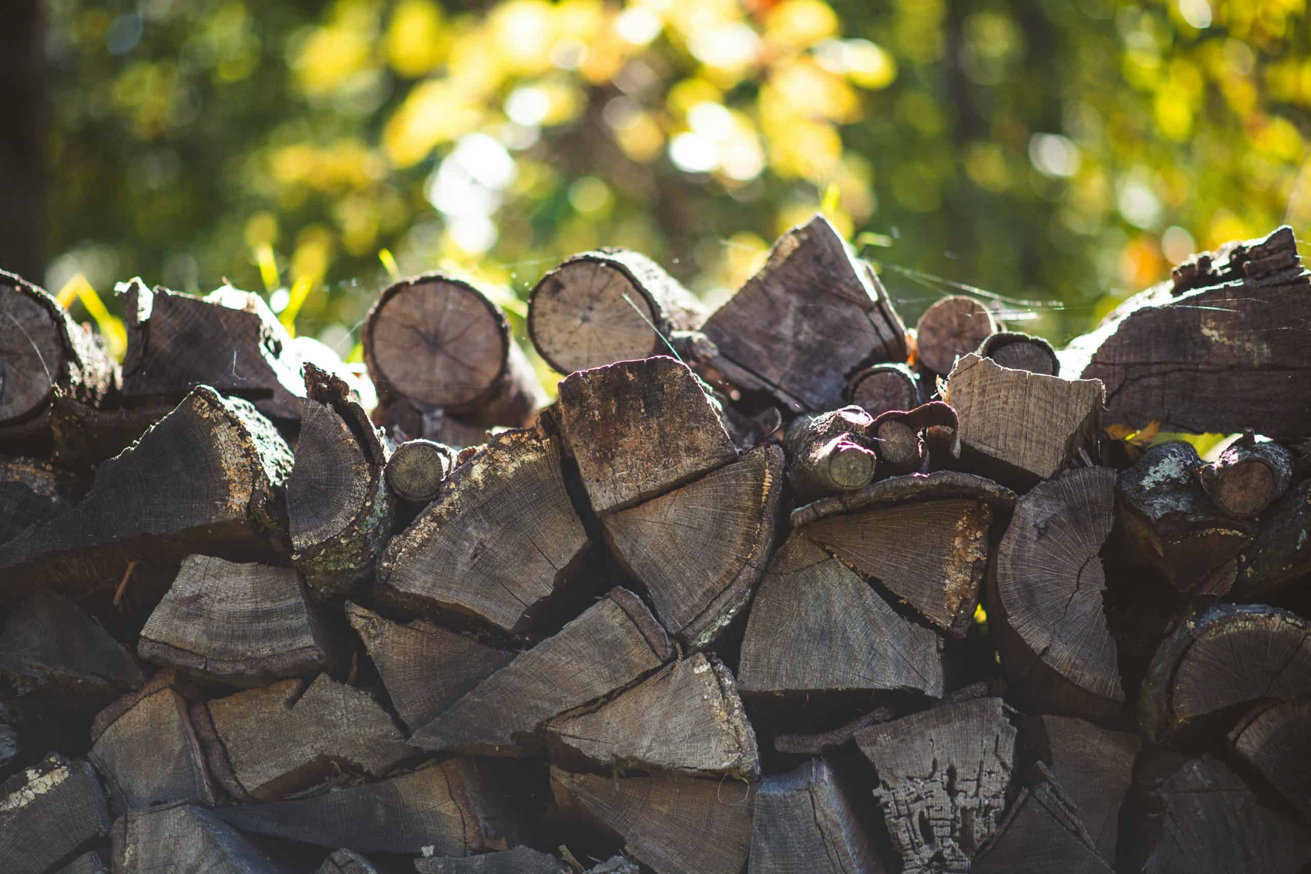 backyard, fire pit, Close-up of stacked firewood in a sunlit forest, showcasing textures and natural beauty.