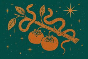 Two golden-orange serpents coil around a broken persimmon branch with ripe fruit and veined leaves, set against a deep emerald night sky filled with radiant stars. The illustration evokes mystical symbolism and vintage botanical style inspired by Ophiuchus.