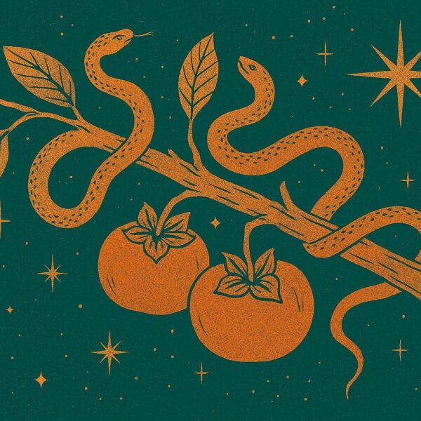Two golden-orange serpents coil around a broken persimmon branch with ripe fruit and veined leaves, set against a deep emerald night sky filled with radiant stars. The illustration evokes mystical symbolism and vintage botanical style inspired by Ophiuchus.