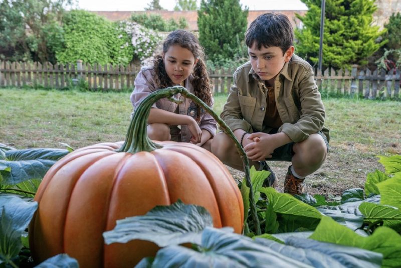 Grow, Family Movie, Pumpkins, Children