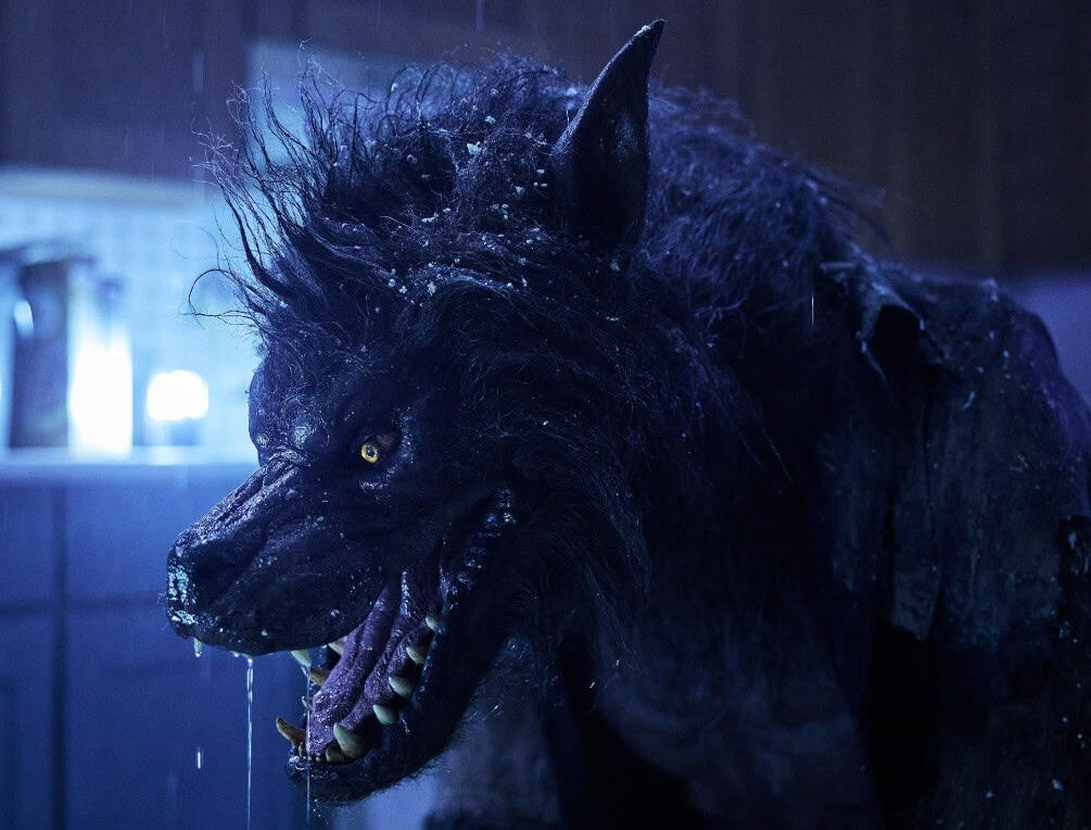 Top 10 Movies: Werewolves | Courtesy of Netflix