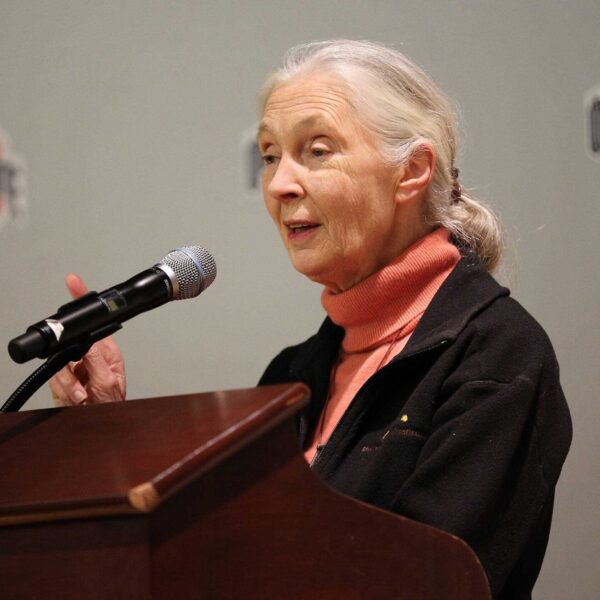 Primatologist Jane Goodall talks to local media before giving a presentation to Ohio State University students at the Ohio Union on March 25, 2013.