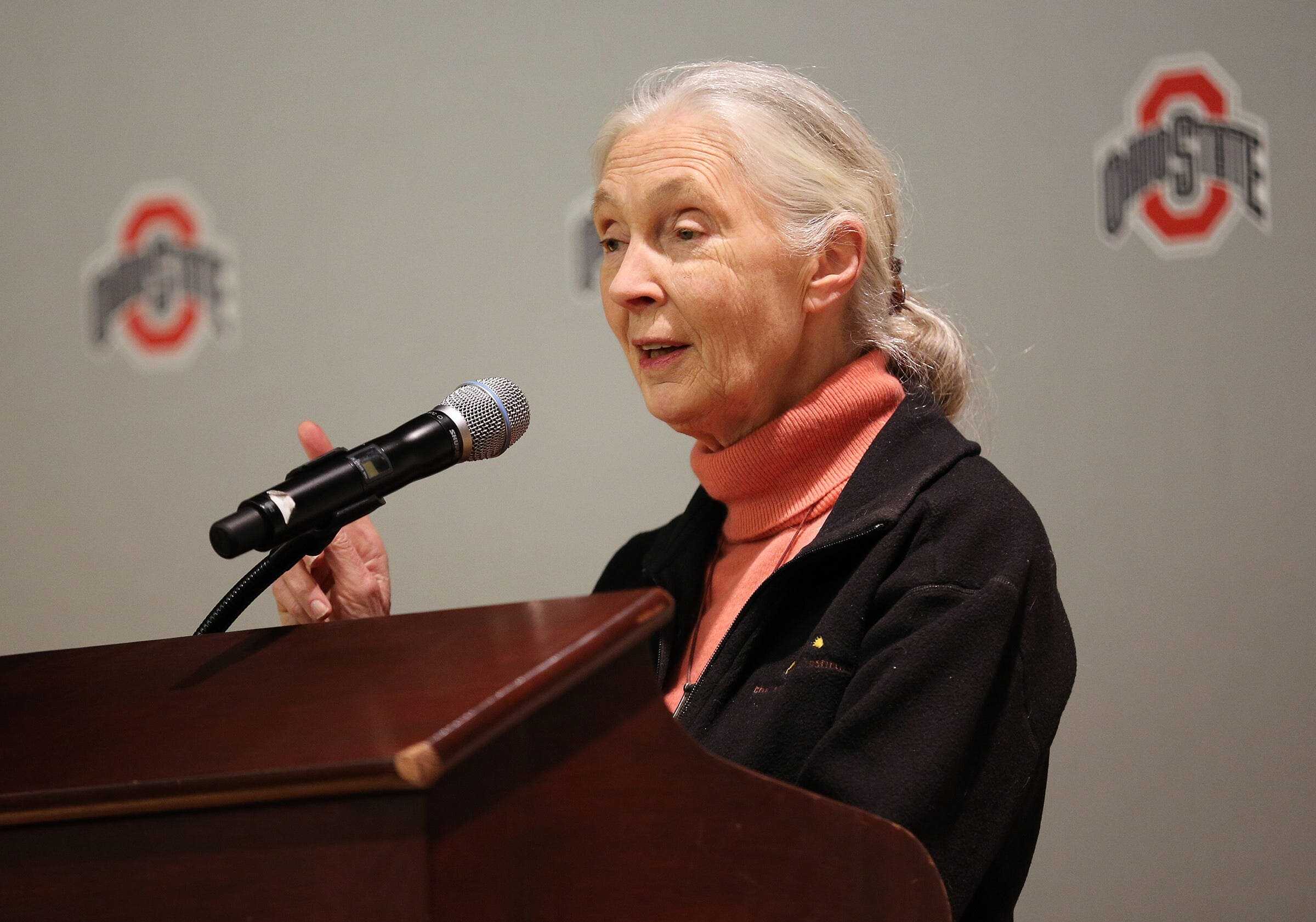 Primatologist Jane Goodall talks to local media before giving a presentation to Ohio State University students at the Ohio Union on March 25, 2013.