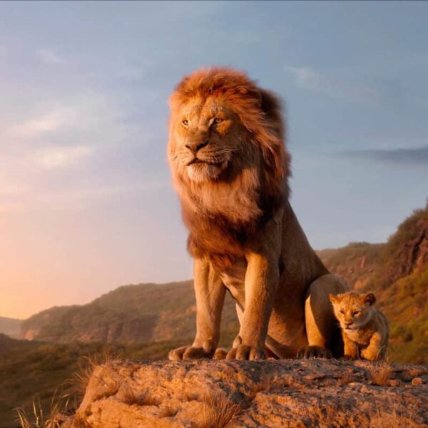 Disney reportedly planning another Lion King movie