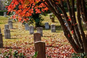 a cemetery with many headstones and trees with red leaves. cemeteries