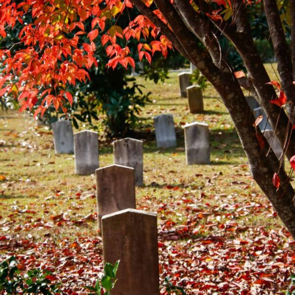 a cemetery with many headstones and trees with red leaves. cemeteries