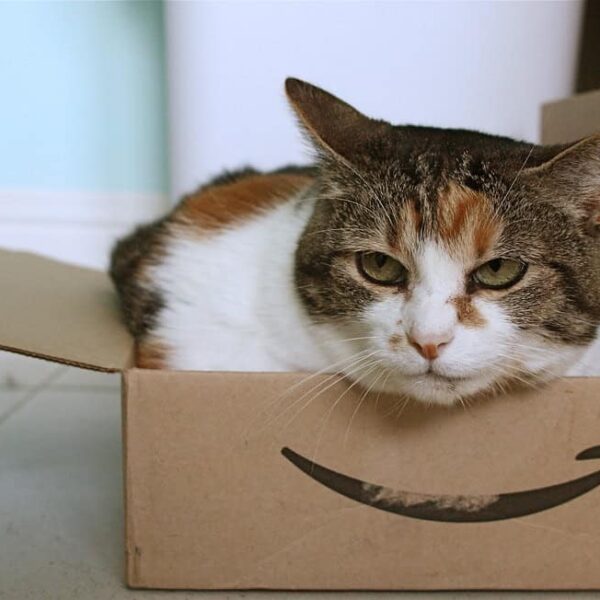 Amazon recall, oxygen test kit,