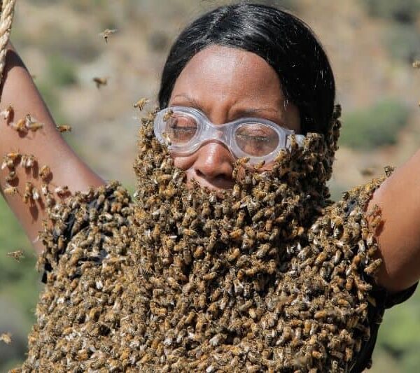Fear Factor: The Next Chapter