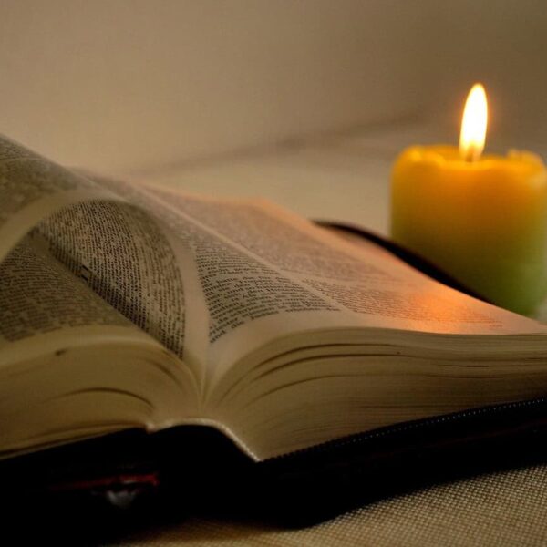 read, a book, candle, bible, bible, bible, bible, bible, bible, daily devotion