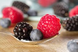 berry, raspberries, blackberries, blueberries, fruit, vitamins, mollberry, hollow berry, cat berry, ambas, besing, blueberry, blackberry, wildberry, wild berry, bickberry, gooseberry, cranberry, hayberry, healthy, cranberry, cranberry, cranberry, cranberry, cranberry